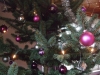 DSCF1185